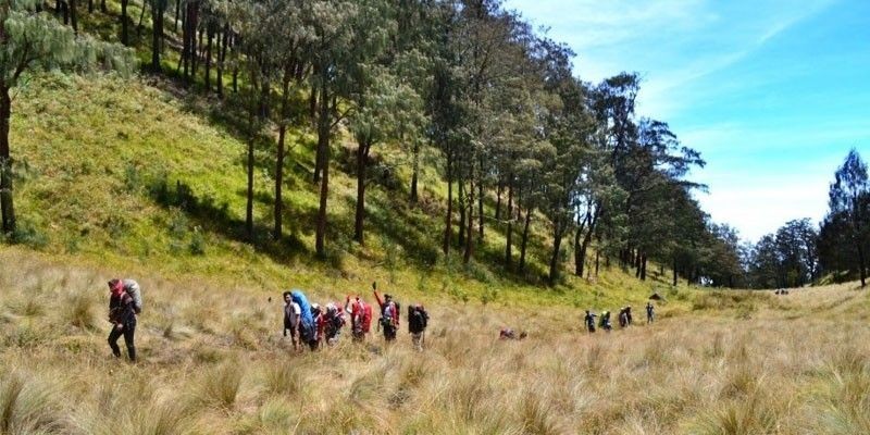 Hiking Gunung Lawu